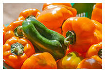 Ernährung: Ob rot, gelb oder grün – Paprika stärkt die Abwehrkraft